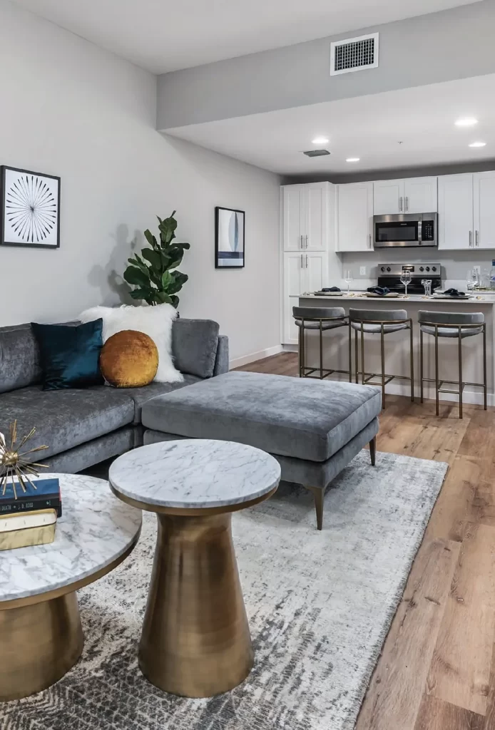 living room in tenant apartment